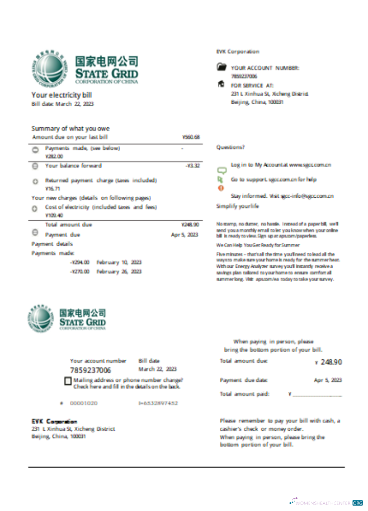 Download State Grid Corporation of China electricity utility business bill SCR Photoshop template